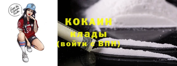 соль ск Абаза