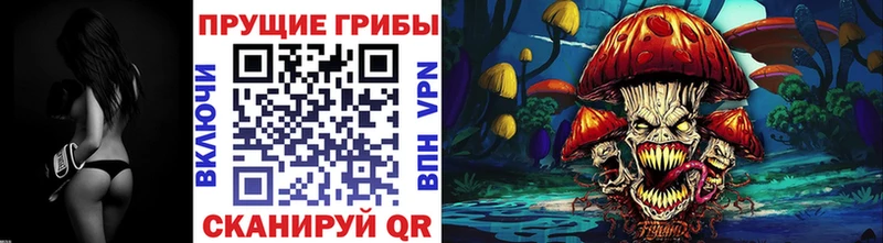 Галлюциногенные грибы Cubensis магазин наркотиков Абинск